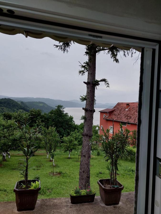 Apartmani Kuljanin Donji Milanovac Rom bilde
